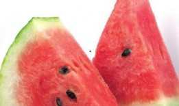 吃瓜不分种类,吃瓜界的全品类盛宴