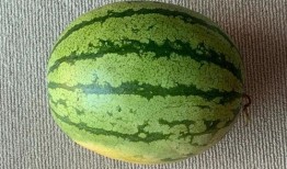 世界上有瓜吃瓜吗,探究世界各地的瓜类美食文化