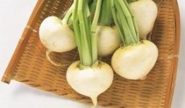 小姜忙着吃瓜,忙碌吃瓜不停歇