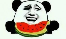 浴室吃瓜,揭秘浴室里的那些小秘密