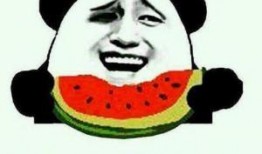 吃瓜群众的坎坷之处,揭秘幕后真相与心酸历程