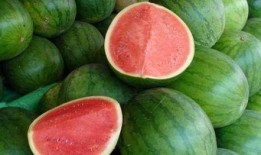 瓜哪里那么容易吃,揭秘“瓜哪里那么容易吃”的哲理