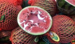 吃瓜群众都心急的图片,揭秘幕后真相