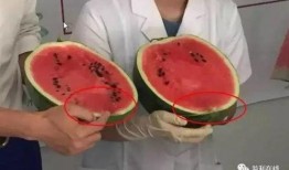 打针前吃瓜,意外发现的健康小秘密