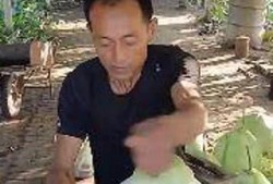 吃瓜楠哥,揭秘娱乐圈背后的那些事儿