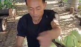 吃瓜楠哥,揭秘娱乐圈背后的那些事儿