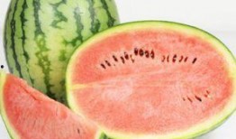 医院分娩吃瓜,医院里的温馨“吃瓜”时刻