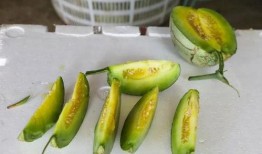 吃玉瓜升压吗,玉瓜食用对血压影响解析