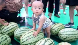 朋友在吃瓜,一场关于“吃瓜”的狂欢盛宴