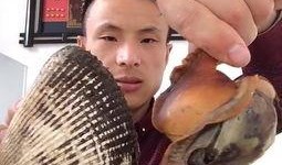 大贝视频吃瓜,揭秘娱乐圈吃瓜背后的真相