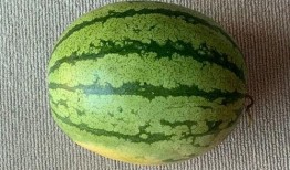 国外吃瓜图片大全,揭秘各国独特美食瞬间