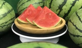 100个吃瓜爆料,揭秘娱乐圈背后的真相与秘密