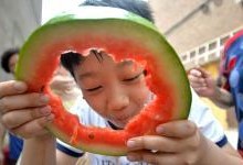 邯郸吃瓜曝光,揭秘背后真相与网络舆论风暴