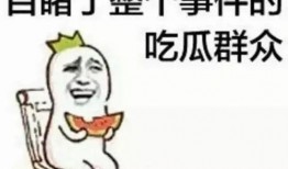 带你吃瓜网友智商,带你领略“吃瓜网友”的智慧火花