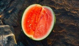 浴室吃瓜,揭秘浴室里的那些小秘密