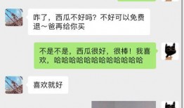 朋友圈 吃瓜,那些隐藏在瓜皮下的真相