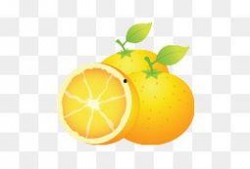 橘子吃瓜素材视频,一场视觉与味蕾的双重盛宴