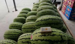 消夏避暑吃瓜大赛,吃瓜大赛欢乐盛启