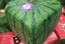 上海山瓜怎么吃,解锁夏日清新美味