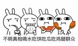 随时吃瓜群众怎么形容,洞察世间百态