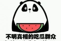 魔都吃瓜群众,揭秘都市生活百态