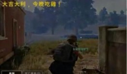 雷吃瓜群,揭秘娱乐圈幕后风云