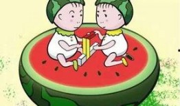 带你吃瓜猜动画,揭秘动画背后的趣味故事