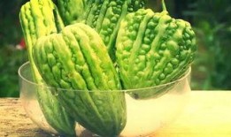 八瓜金泡仇吃治什么病,揭秘古老食疗方对现代疾病的神奇疗效