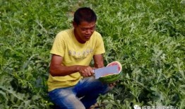 临夏最近吃瓜事件