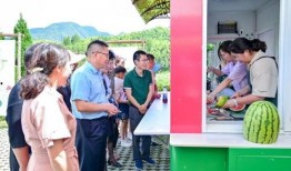 马山吃瓜大队,揭秘乡村里的“网红”现象