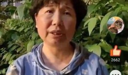 吃瓜手机杜哥,带你领略科技与娱乐的完美融合