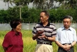 吃粮不忘袁隆平吃瓜不忘,传承瓜果丰收喜悦