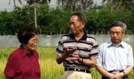 吃粮不忘袁隆平吃瓜不忘,传承瓜果丰收喜悦