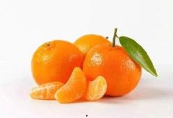 桔子能同茄瓜一起吃吗,桔子与茄瓜同食的兼容性探讨