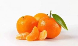 桔子能同茄瓜一起吃吗,桔子与茄瓜同食的兼容性探讨