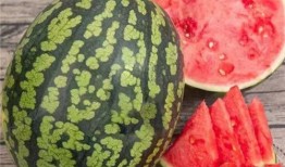 电商吃瓜,揭秘吃瓜群众的狂欢盛宴