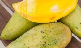 矮瓜和梨可以一起吃吗,探究两者同食的饮食奥秘