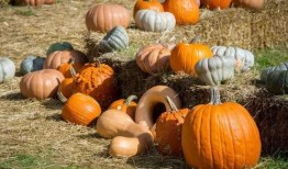 种花家的吃瓜,揭秘娱乐圈那些事儿