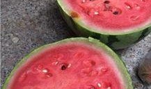 盐城销售吃瓜事件,一场销售争议引发的舆论漩涡