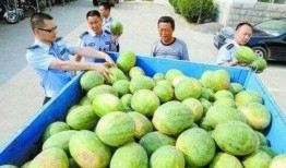 南宁行健吃瓜群,揭秘校园生活趣味瞬间