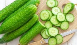 默默吃瓜的配方大全,配方大全解锁美味瓜果新境界