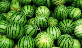 神反转吃瓜,神反转！吃瓜群众见证惊人真相大揭秘