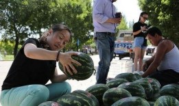 男人吃老瓜,揭秘男性养生新风尚