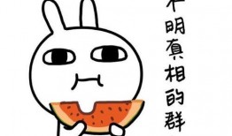 小陈在吃瓜,小陈的瓜田奇遇记