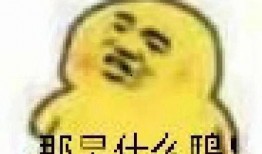 吃瓜的表情含义,揭秘网络社交中的“吃瓜”现象