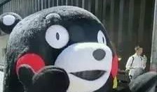 熊本熊吃瓜,瓜果盛宴欢乐无限