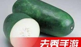 种啥瓜吃啥瓜,探索种植与收获的奇妙关系