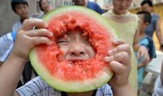 邯郸吃瓜曝光,揭秘背后真相与网络舆论风暴