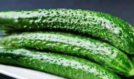 吃瓜适量,品味生活百态