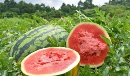 吃瓜洞,吃瓜群众眼中的明星幕后故事